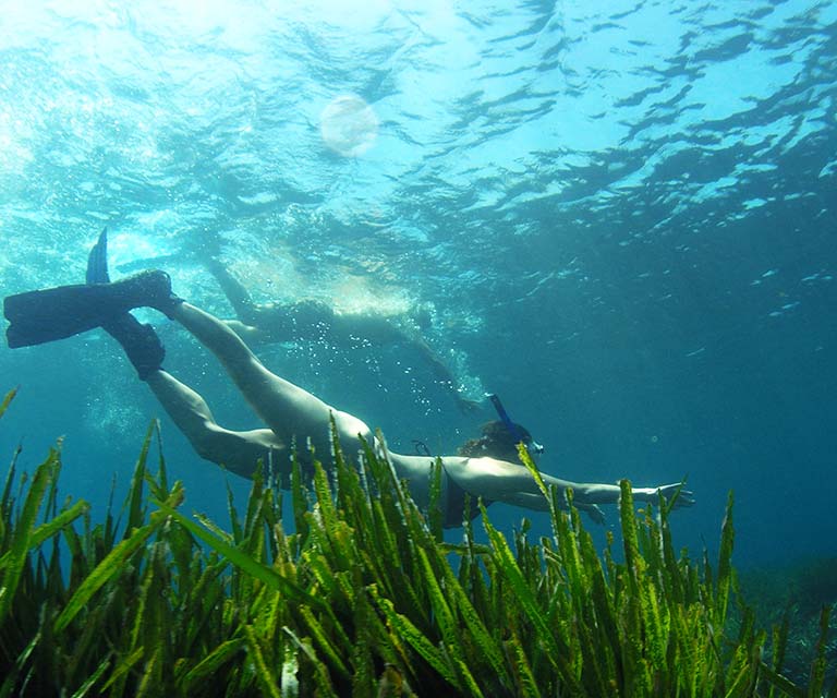 Diving & snorkeling